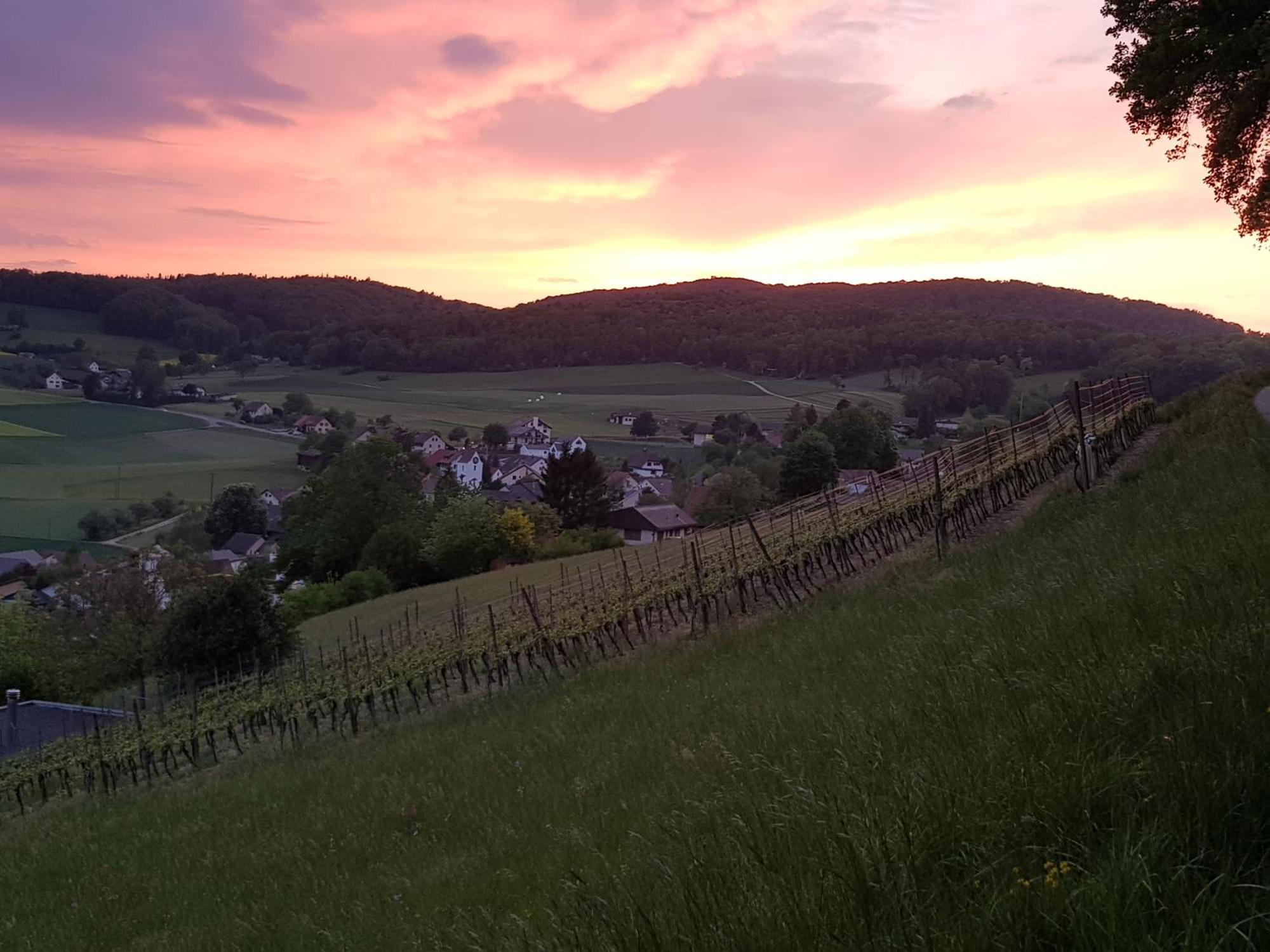 Bnb Moenthal Im Jurapark Exterior foto